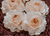 Flores de papel - comprar online