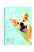 Caderno Espiral Universitário 10 Matérias com 160 Folhas - My Pets - BooBerry