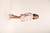 Corta Vento Feminino Estampado You+Me Tamanho (2ao10) - loja online