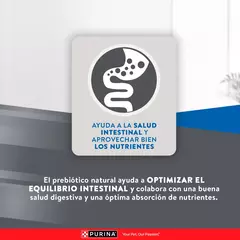 Excellent Urinary 1kg - tienda online