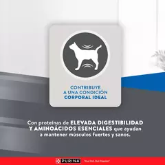 Excellent gato adulto 7,5kg