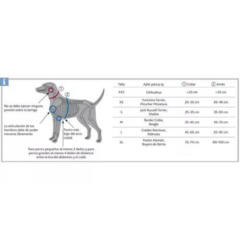 Trixie Correa premium acolchada M-L