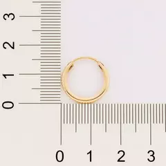 Brinco Argola Feminino Banhado A Ouro 18k Cód-527165 - Farinni Joias