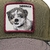 Gorra Goorin Bros Fowlers favorite Perrito Side Kick 101-0405 - comprar en línea