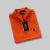 Camisa Polo Ralph Lauren Importada-02217