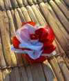 Rosa vermelha e branca.
