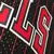 Regata Chicago Bulls Alternative Mitchell & Ness 95/96 - futmaxsporte
