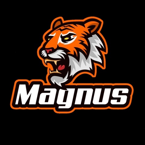 Magnus Store Brasil