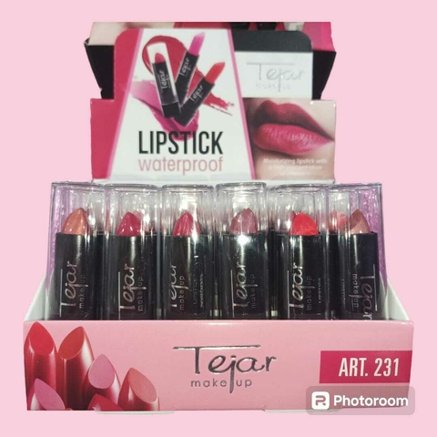 LABIAL MATTE A PRUEBA DE AGUA / TEJAR #ART231