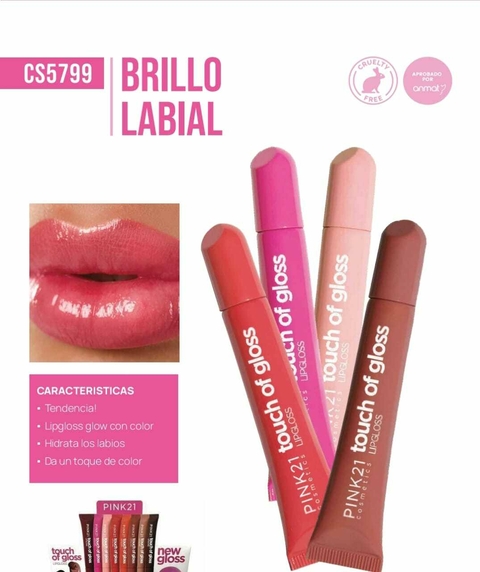BRILLO LABIAL TOUCH OF GLOSS / PINK 21 # CS5799