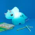 Luminária Dino Baby - comprar online