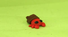 Cangrejo ermitaño - comprar en línea