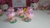 Cogumelos rosa