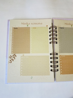 Planner Rosê