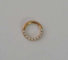 Segmento Aço Cirúrgico PVD Gold Zircônias Frontais