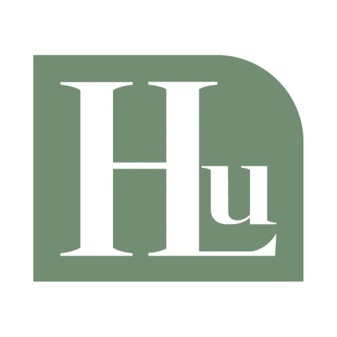 HLu Bolsas e Acessórios