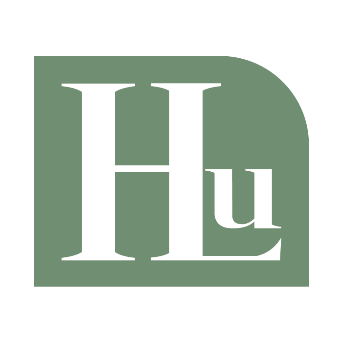 HLu Bolsas e Acessórios