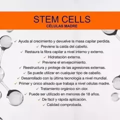 Liss Expert Stem Cells Shampoo Sin Parabenos Free Sal 250ml - comprar online
