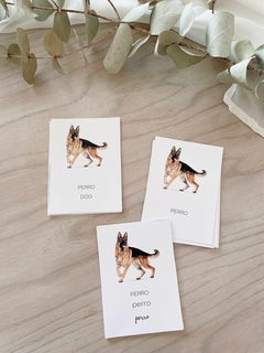 TARJETAS ANIMA en internet