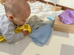 CAJA DOVE SEI en internet