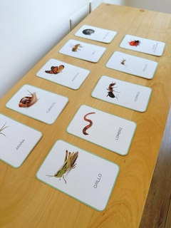 TARJETAS BUGS en internet