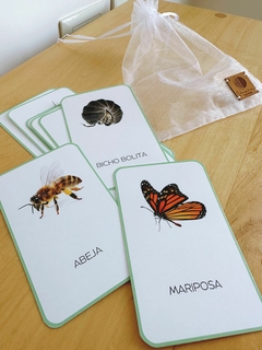 TARJETAS BUGS