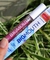 Gloss Big Moutch Pink Glow