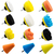 Boinas de polimento 5 polegadas + cones polimento para furad - comprar online