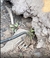 Imagem do Removedor de Ervas Daninhas com Cabo de Madeira 41cm