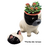 Cachepô Divertido de Cachorro: Faça Suas Plantas Sorrir com Estilo e Alegria na internet