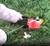 Escova de Nylon para Roçadeira 200mm Multiuso e Segura - AngryBee