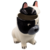 Cachepô Divertido de Cachorro: Faça Suas Plantas Sorrir com Estilo e Alegria - comprar online
