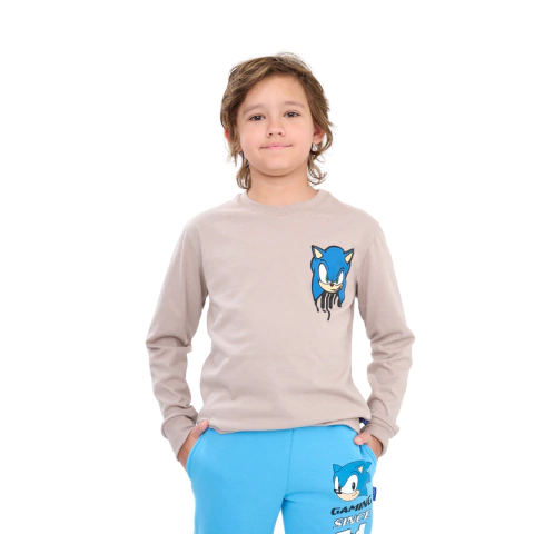 Remera Sonic Erizo