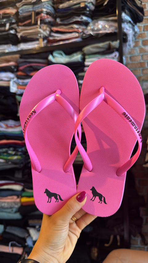 Chinelo Fem 320629501 - comprar online