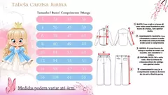 Camisa Xadrez Infantil Alisson Rosa e Azul Flanela/Flanelada Junina na internet