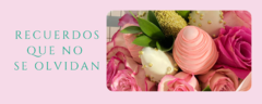 Banner de la categoría Fresas con Chocolate