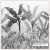 MURAL NATURE | TROPICAL COLLECTION | REF. N05.M.101.7 - Muse Wallpapers
