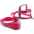 Conjunto Guia Peitoral Seda - Bond Pet - comprar online