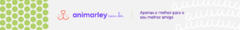 Banner da categoria Coleiras