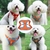 Arnês para cães de estimação Conjunto de trela para cachorros Ajustável Refletivo Arnês para Cachorros de Corrida ao Ar Livre Arnês para Cães Pequenos Trela de Caminhada