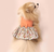 Vestido Pet Floral Rosa Puro Algodão - Petisco Tam 10 - 16 - comprar online