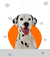 Cães
