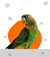Aves