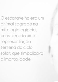 Bracelete Besouro prata - loja online
