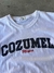 REMERA COZUMEL MX en internet