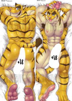 Torahiko Dakimakura