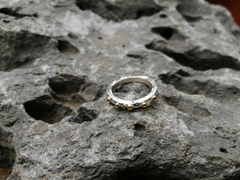 Anillo Artemisa en internet