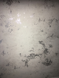 Papel de parede WS 101602R