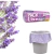 Saco para Lixo 50L | Lavanda Pack Lixo | 30 Unidades - comprar online