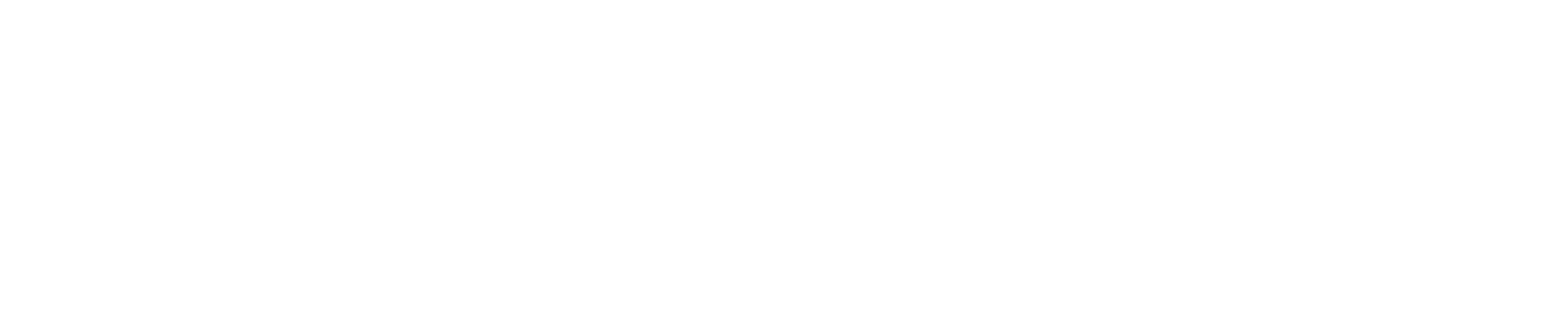 Deyse Haine Store